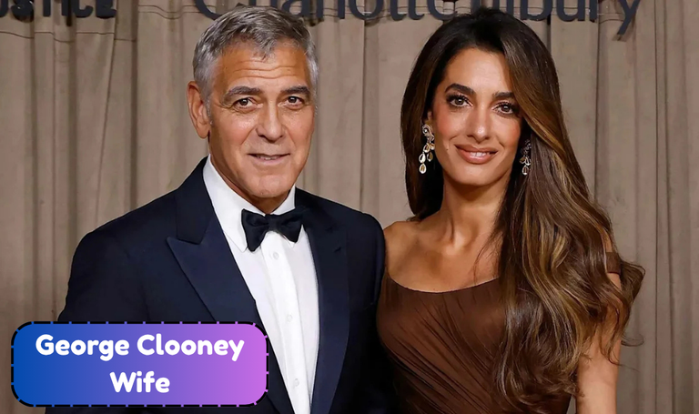 George Clooney Wife: Everything to Know About Amal Clooney and Their Marriage